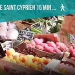 Le Cocon St Cyprien - Centre - Parking - Tramway