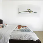 Nouvel Oasis 2