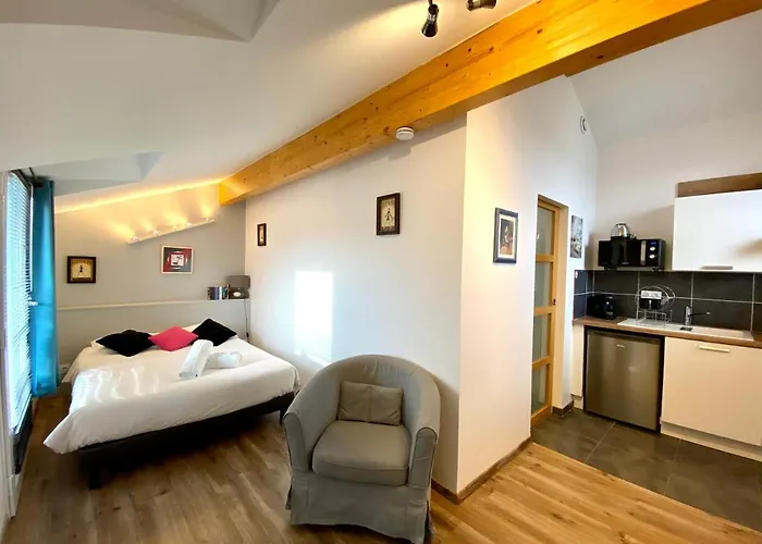 Le Patio - Appartements Climatises Toulouse Centre