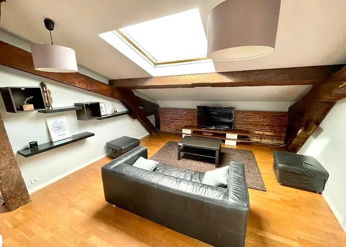 Le Charmeur - Appartement Climatise Avec 2 Chambres - Hypercentre