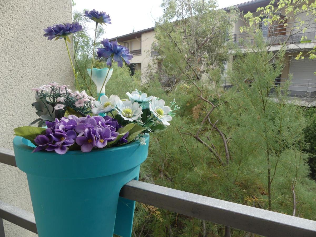 Le Jardin Bleu - Dormiratoulouse Basso Cambo Apartment Toulouse