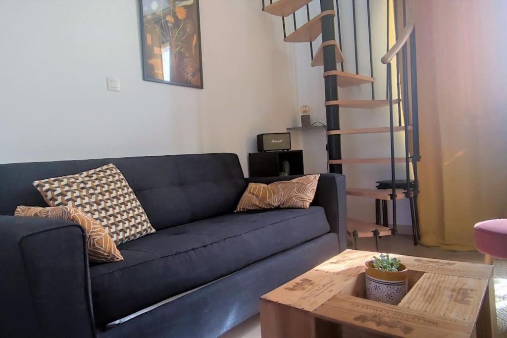 Duplex Canal Du Midi Appartement