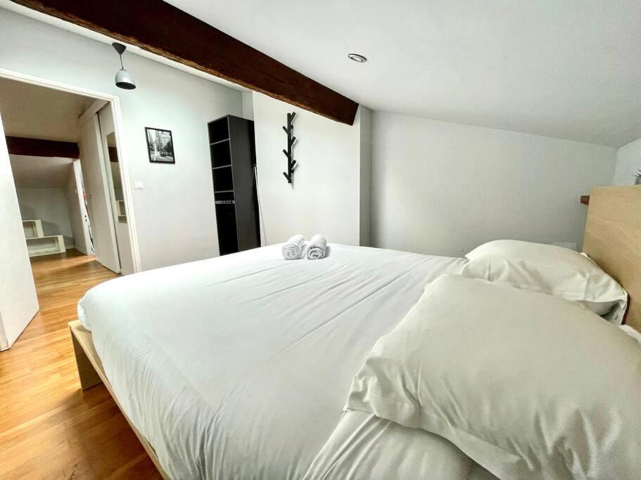 Apartment Le Charmeur - Climatise Avec 2 Chambres - Hypercentre *