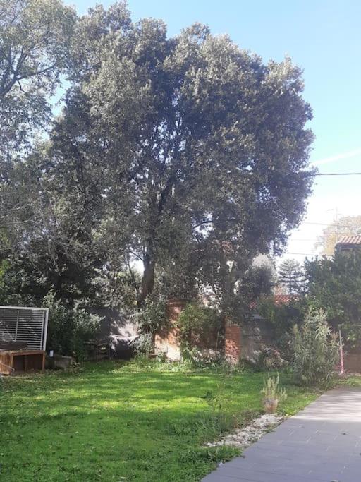 Canto Laouzetto * Toulouse