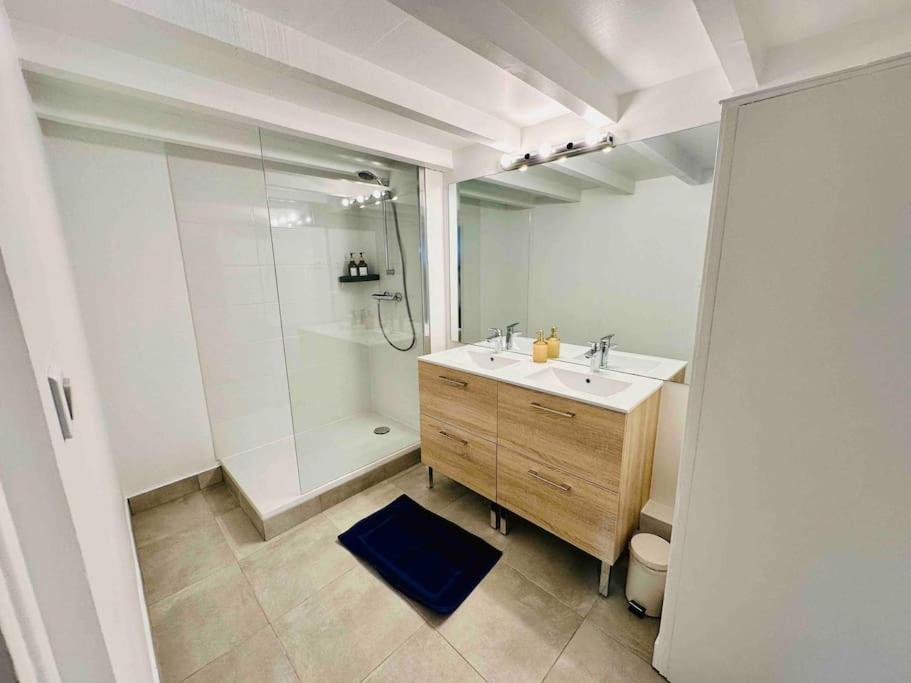 Grand T3 Standing En Hypercentre Appartement Toulouse