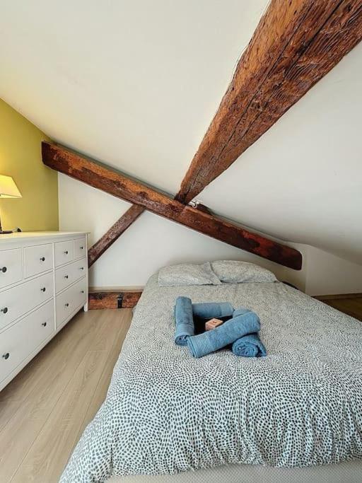 Apartment Le Des Carmes - T4 Hypercentre *