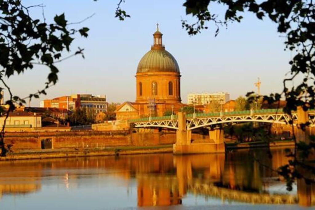 Superbe T2 Avec Terrasse Face Au Parc Des Fontaines * Toulouse
