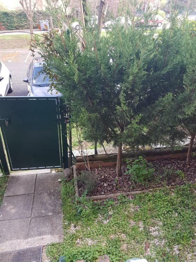 Apartamento Laurier Toulouse
