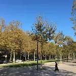Carmes - Jardin - Studio Pied A Terre En Hyper Centre
