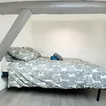 Hypercentre Toulouse 7 : appartement meublé et équipé