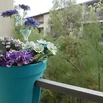 Le Jardin Bleu - Dormiratoulouse Basso Cambo