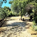 Villa Calme Grand Jardin, A 10Mn Du Centre Ville