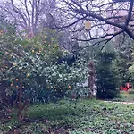 Un Jardin En Ville