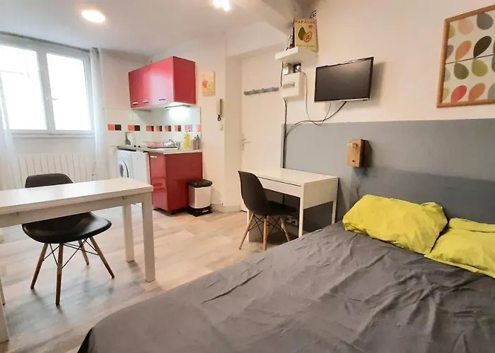 Carmes - Jardin - Studio Pied A Terre En Hyper Centre