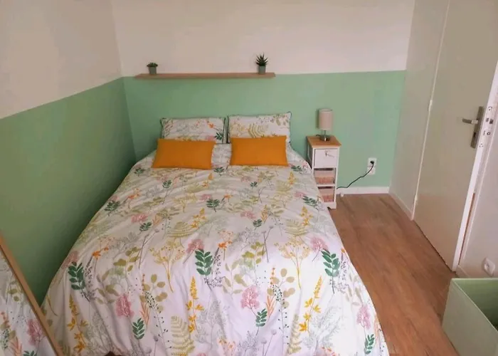 Très bel appartement T3 - Métro Mermoz - Parking