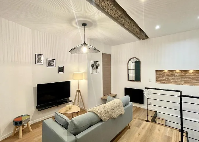 La Parenthese Cosy - Appartement Climatise En Hypercentre