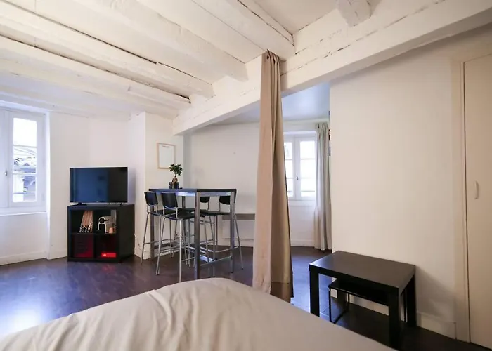 Appartement Hypercentre Capitole