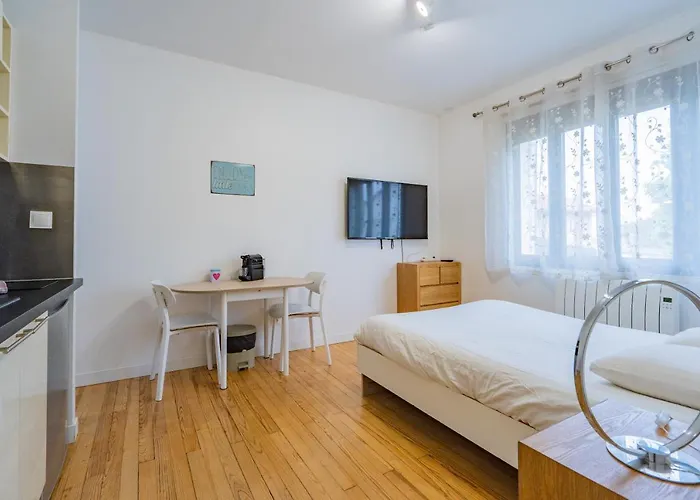Room In Toulouse - Studio 2 Proche Airbus A Toulouse St Martin Du Touch