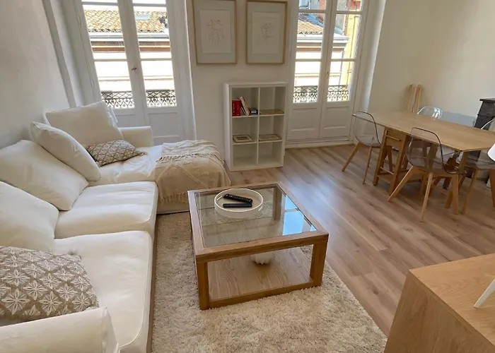 Capitole - Appartement T2 Au Coeur De La Ville Rose