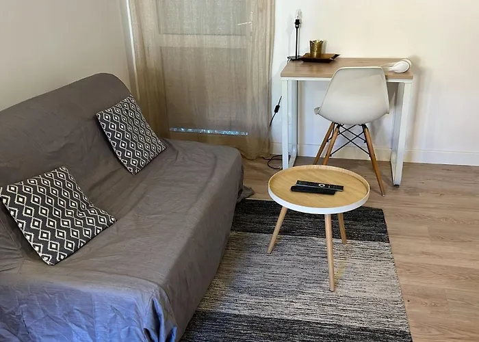 Studio Renove - Proche Hopital, Universite & Gare St-Agne - Tv & Wifi Hd