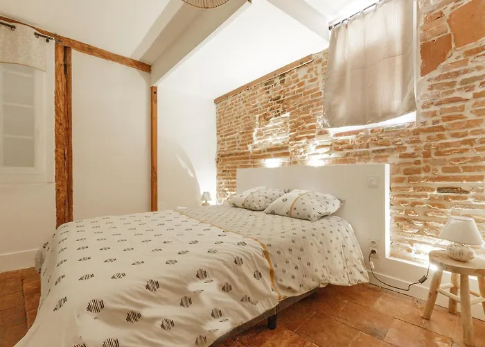 Elegant Appartement Avec Balneo A 100M Du Capitole