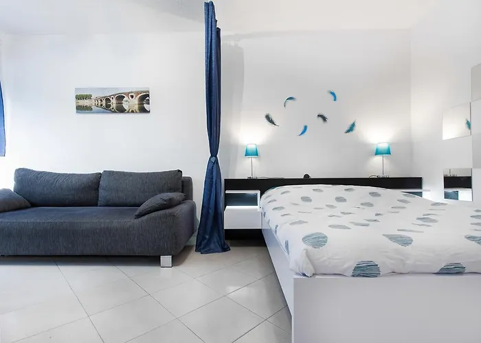 Ancely Studio Aséptisé