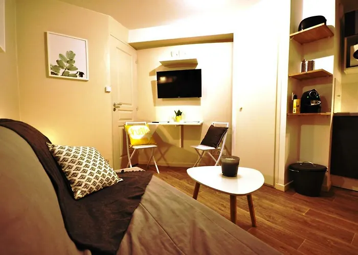 Studio cosy en hypercentre, quartier St Etienne