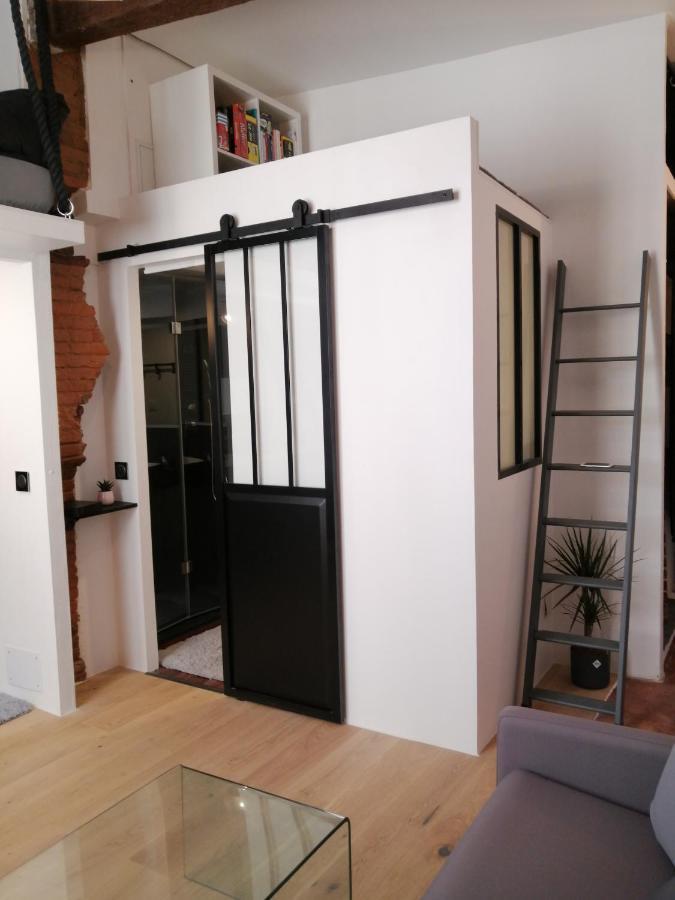 De 20m2 En Hypercentre De Toulouse