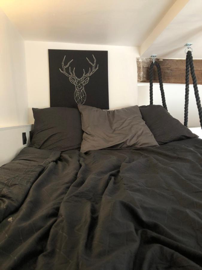 De 20m2 En Hypercentre De Apartamento Toulouse