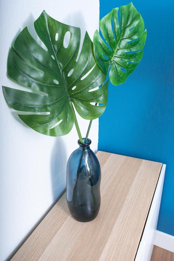 Apartment Le Blue Bird - Hypercentre - Gare - Toulousecozyflat