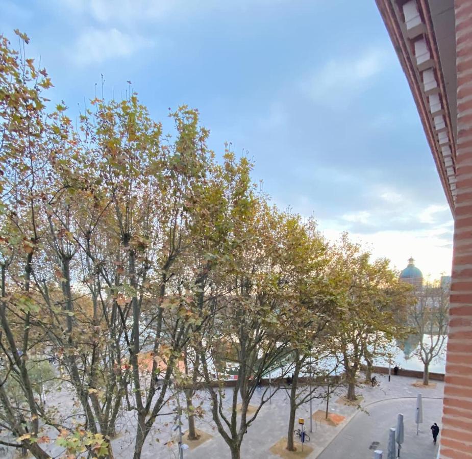 Au Plein Coeur De Toulouse,saint-pierre Apartamento *
