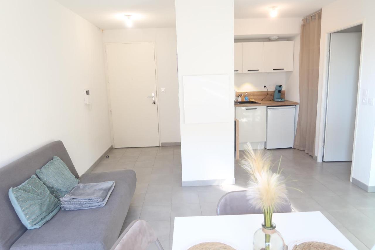 Apartment Entier - T2 Confort - - Balcon Amenage Toulouse