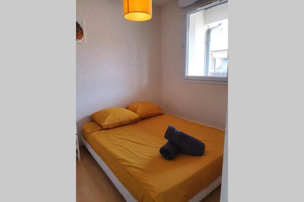 Apartment T1 Bis- Hypercentre - Parking Gratuit Toulouse