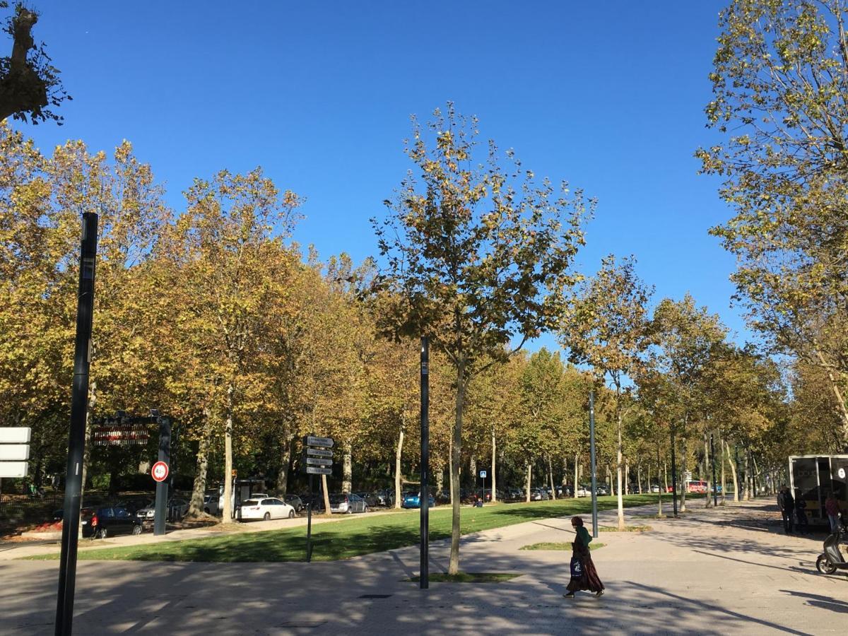 Carmes - Jardin - Studio Pied A Terre En Hyper Centre *