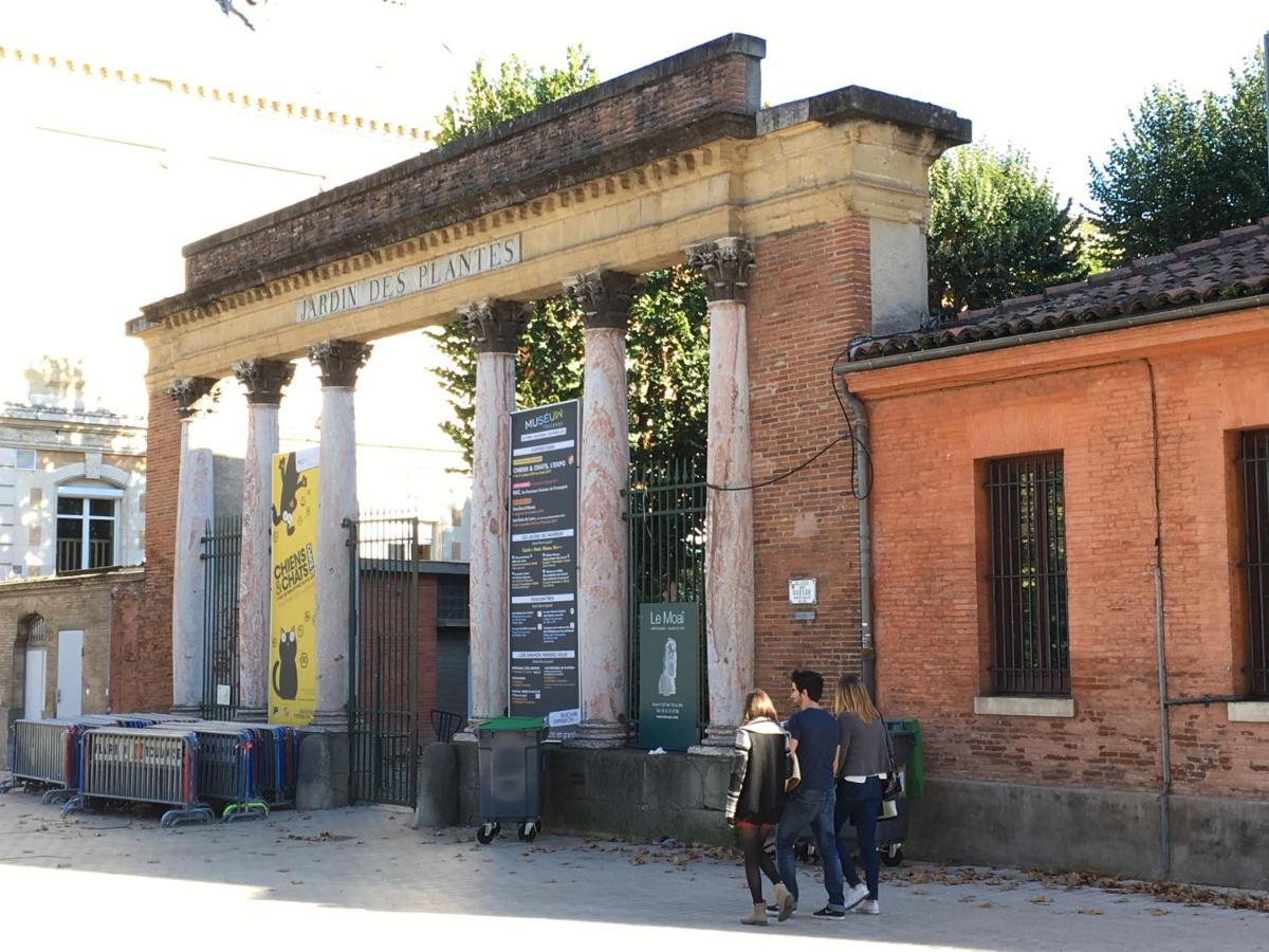 Carmes - Jardin - Studio Pied A Terre En Hyper Centre