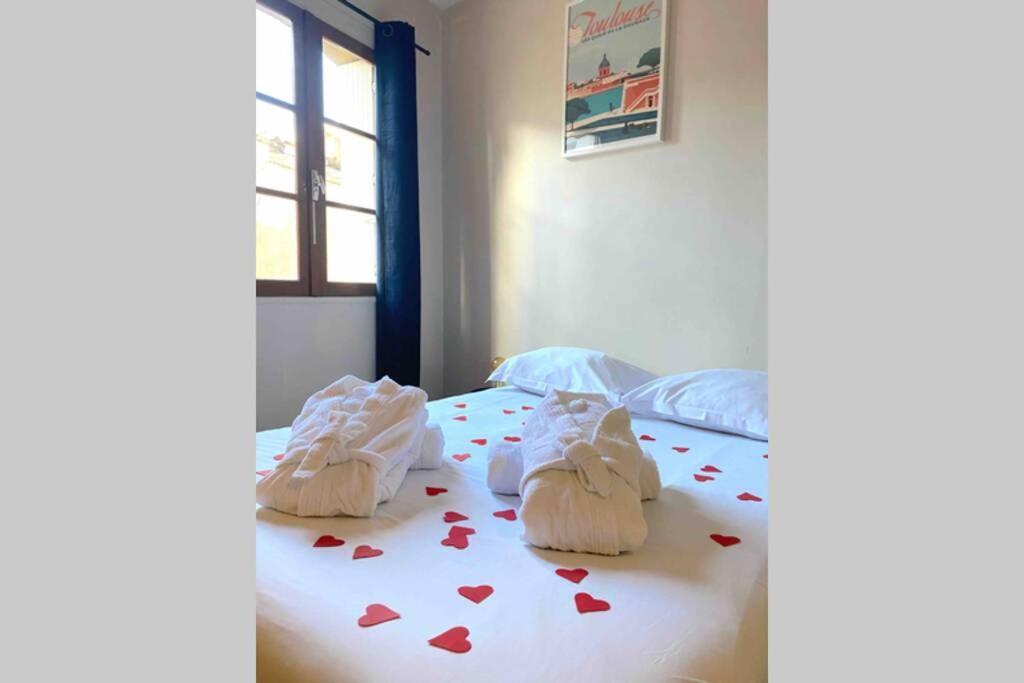 Appartement L’alcôve Spa - Toulouse hypercentre *