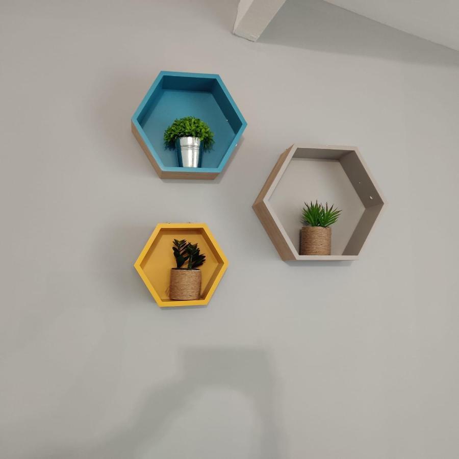 Nouvel Oasis Minimes * Toulouse