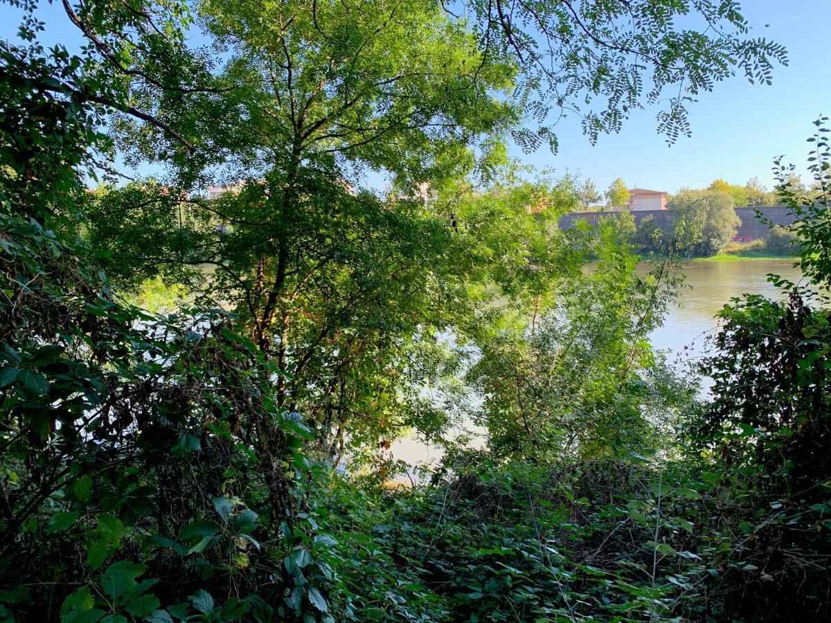Rives Occitanes, Purpan Toulouse