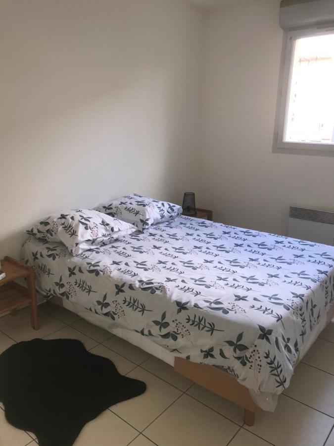 Apartment Entier T2 Avec Piscine Paradis Entierement Meuble Proche Metro