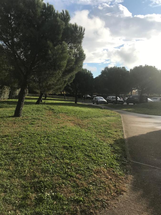 Entier T2 Avec Piscine Paradis Entierement Meuble Proche Metro * Toulouse