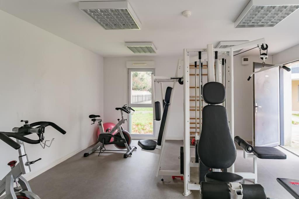 Grand T1 Bis Avec Jardin Exposé Plein Sud Et Salle De Sport Appartement Toulouse