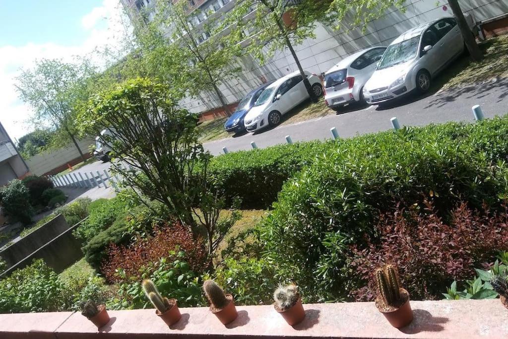 Le Dakar - T2 Avec Parking Offert * Toulouse