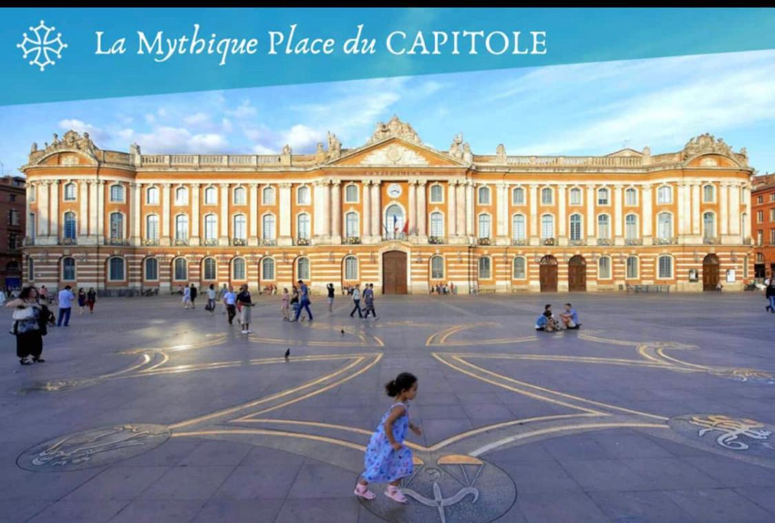 L Oasis Proche Hôpital Et Aéroport Piscine Parking &netflix * Toulouse