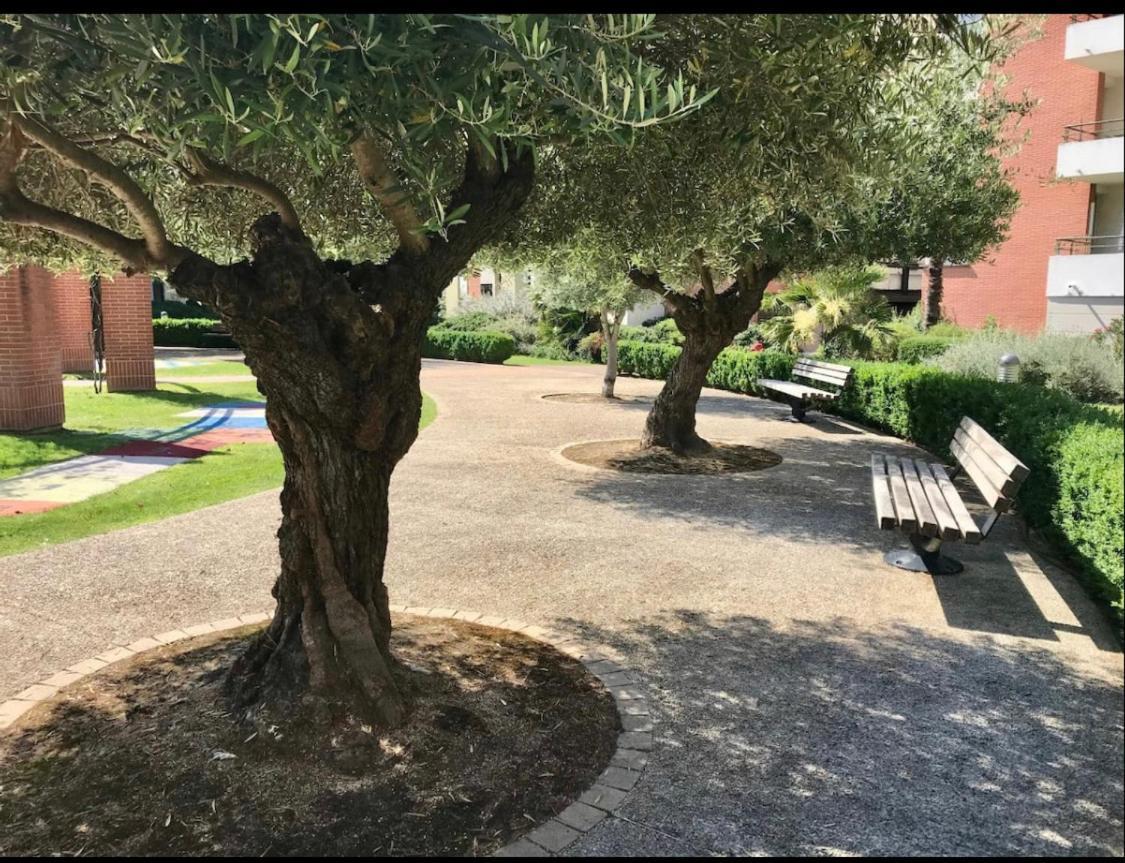 L Oasis Proche Hôpital Et Aéroport Piscine Parking &netflix