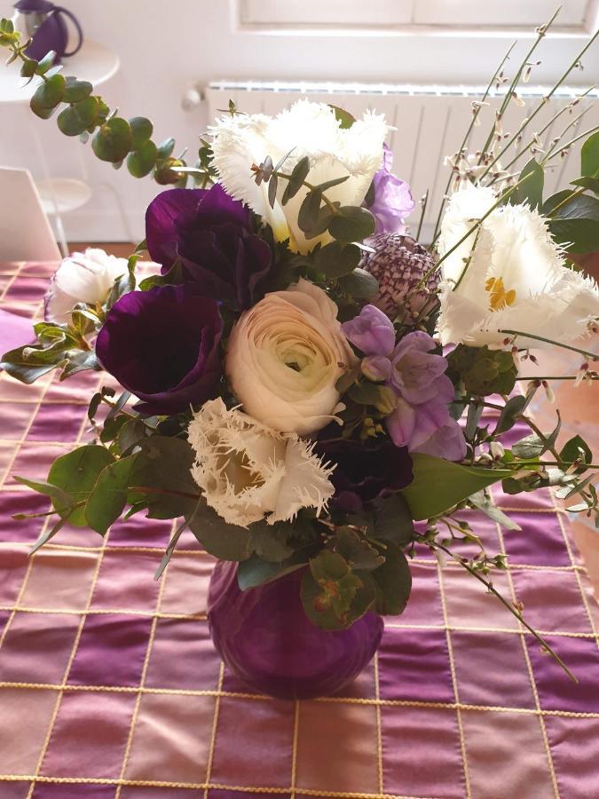 Bed and breakfast La Des Violettes