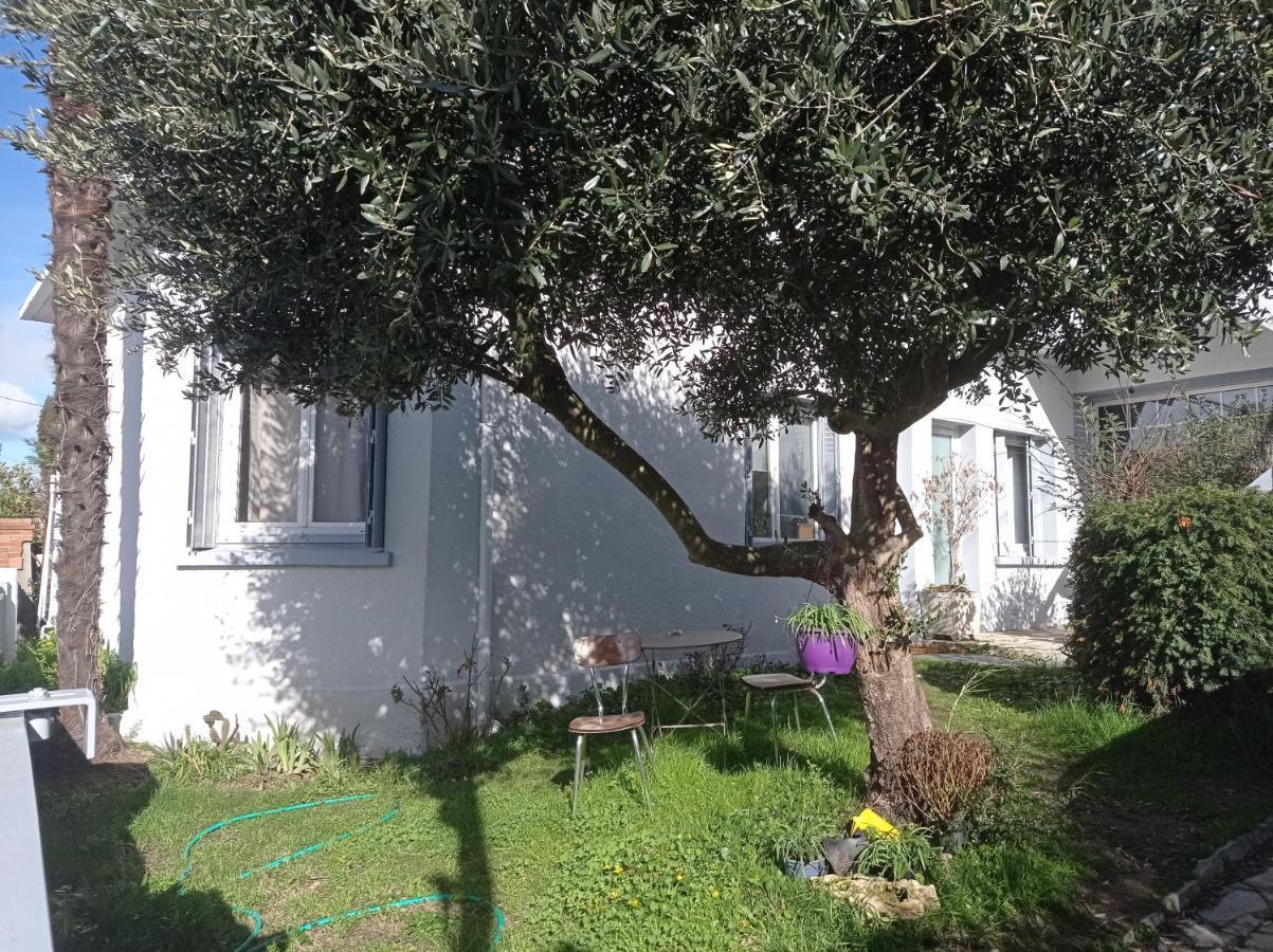 Meublee Independante, Avec Piscine Et Jardin, 1 Lit Pour 2 Personnes Direct Gare Aeroport Apartment Toulouse