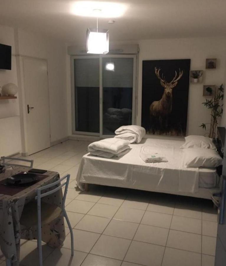 Chaleureux Apartment *