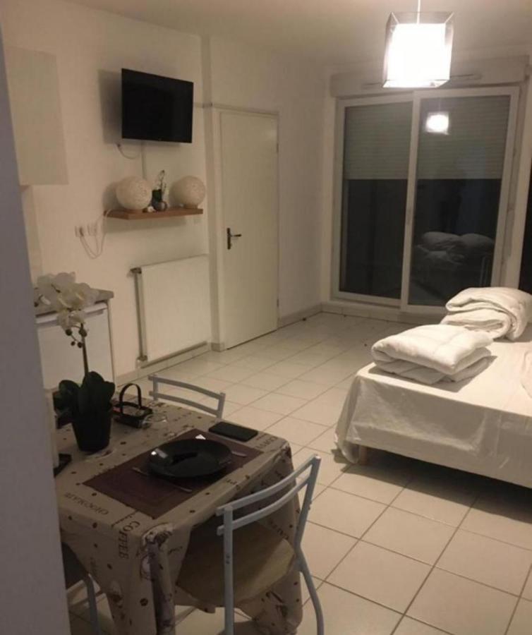 Apartment Chaleureux Toulouse