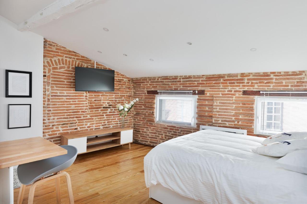 Apartment Le Cosy & Office Au Coeur De Toulouse