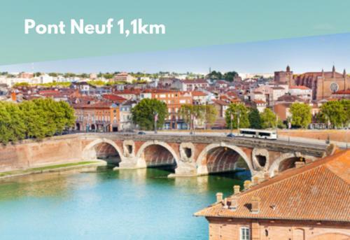 Apartment L'estival Champetre - Metro Et Tramway A Cote Toulouse